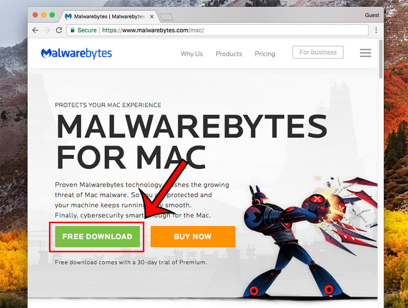 malwarebytes free version for mac